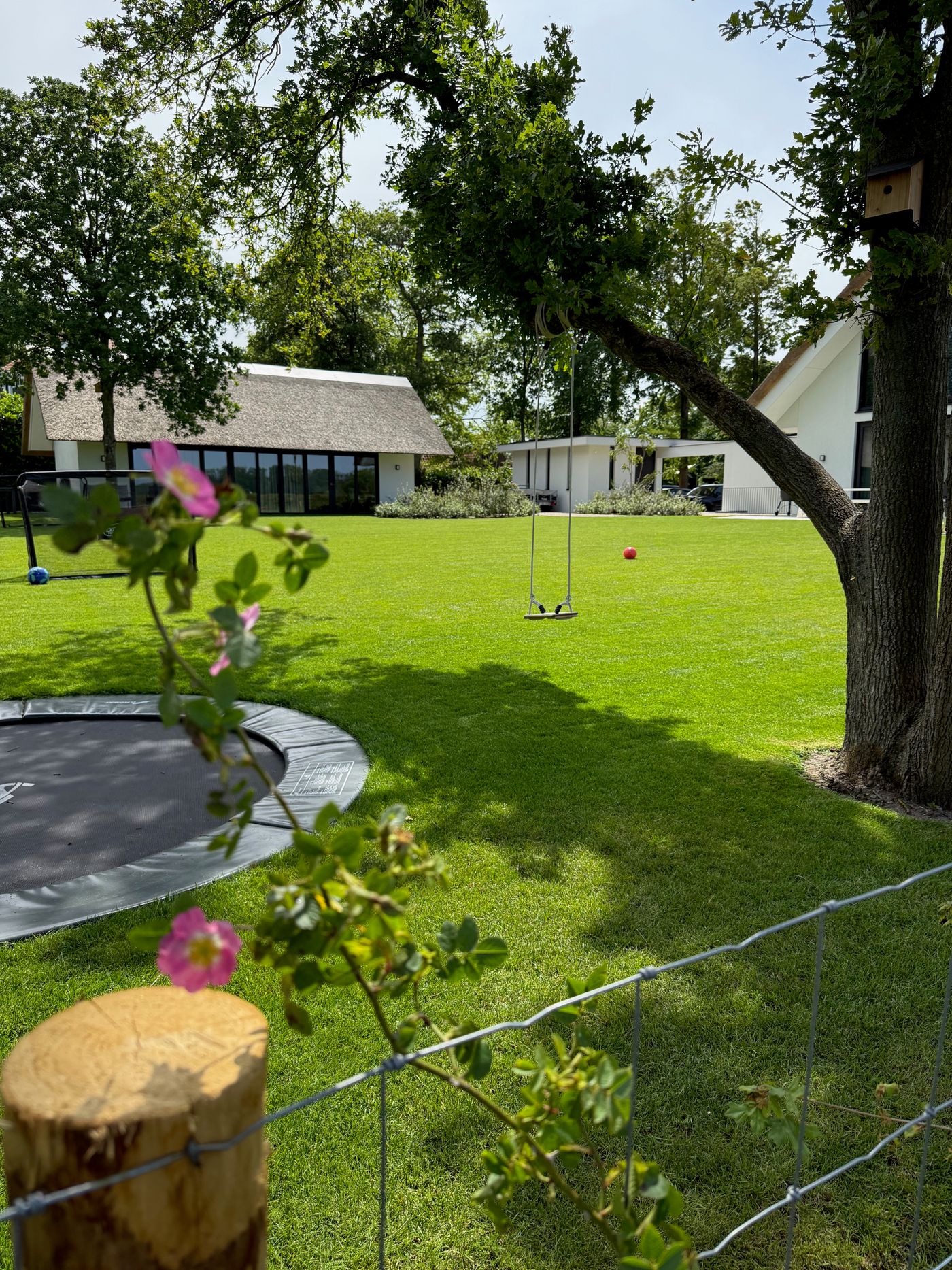 Der Garten im Sommer