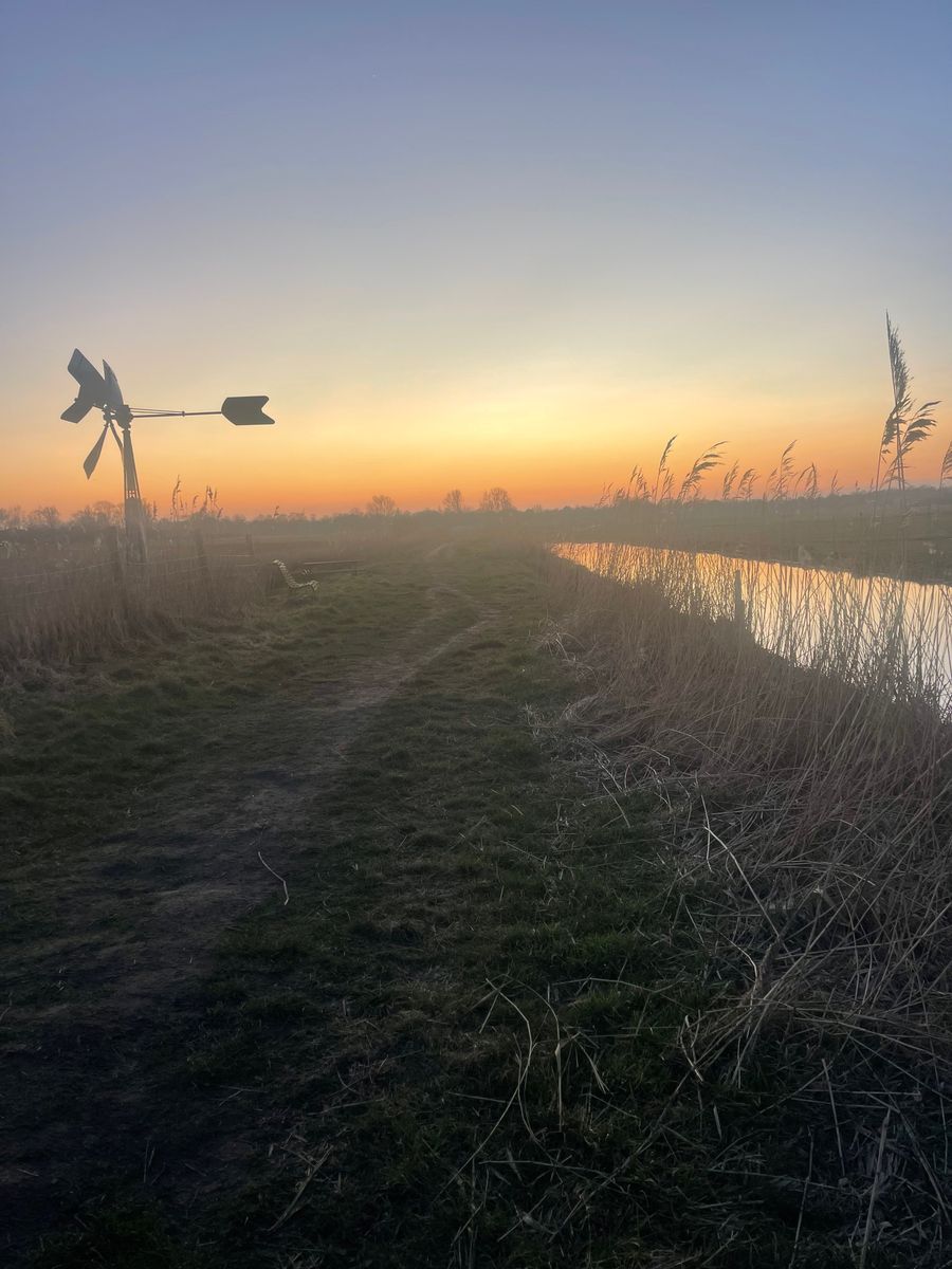 The polder loop