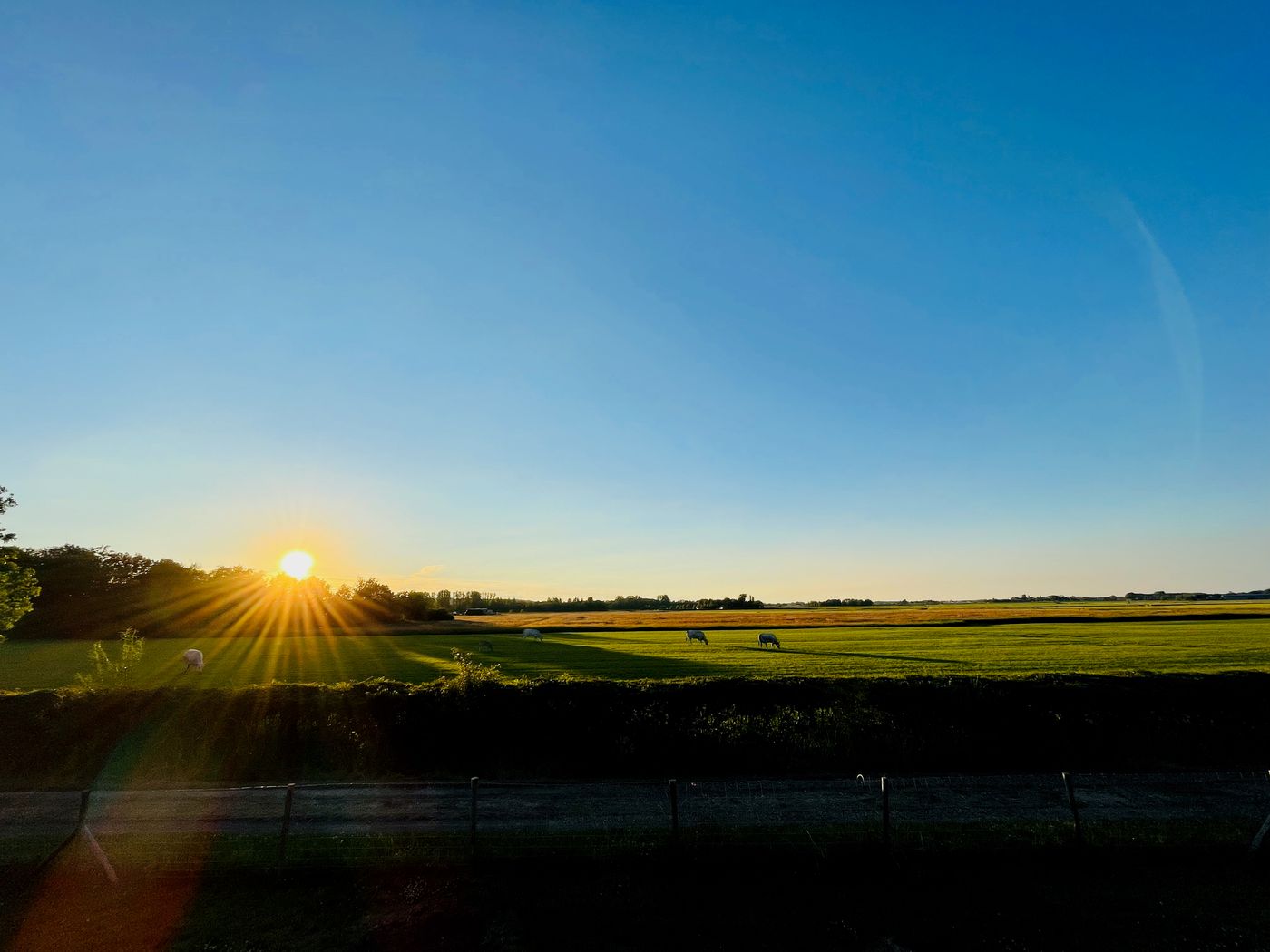 Der Abendblick über den Polder